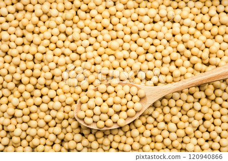soybean on wooden background soybean on wooden background 120940866