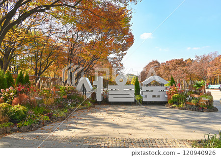 秋季首爾森林公園 [韓國/首爾] 120940926