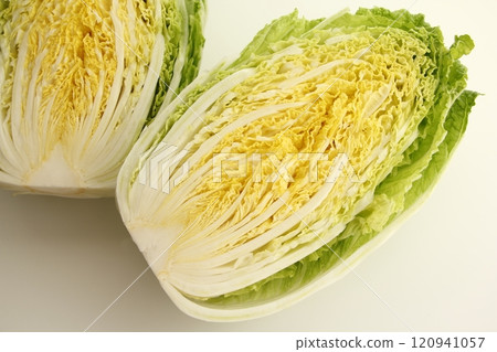 Cut chinese cabbage Cut chinese cabbage 120941057