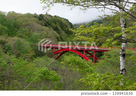 Higashizawa Bridge spans the Kawamata River valley, where the upstream area is shrouded in mist and greenery. 120941630