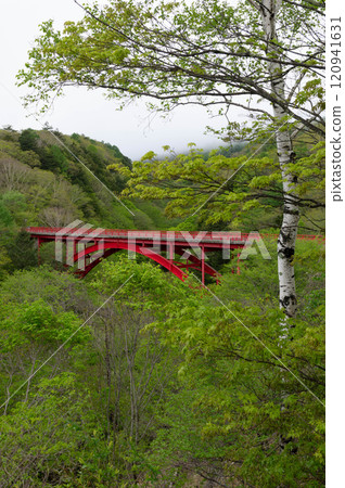 Higashizawa Bridge spans the Kawamata River valley, where the upstream area is shrouded in mist and greenery. 120941631