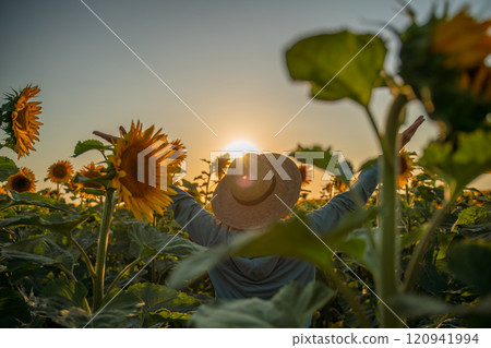 A woman in a straw hat is holding a sunflower. Concept of warmth and happiness, as the woman is surrounded by the bright and cheerful flower. A woman in a straw hat is holding a sunflower. Concept of warmth and happiness, as the woman is surrounded by the bright and cheerful flower. 120941994