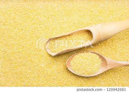 Millet Millet 120942081