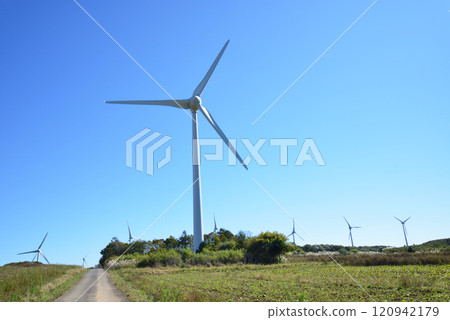 Koriyama Nunobiki Kaze no Kogen 2024-10-3 #61 120942179