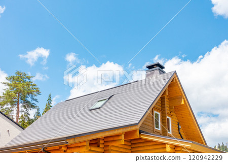 蘑菇攤 船形 新鮮採摘的蘑菇，可以生吃 農場午餐 120942229