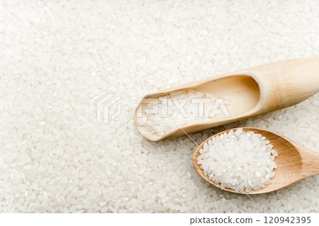 Rice 120942395