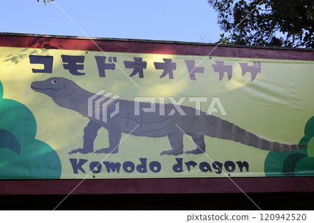 東山動植物園 科莫多龍 120942520