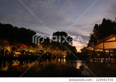 Higashiyama Zoo and Botanical Gardens: Autumn leaves at the botanical gardens Higashiyama Zoo and Botanical Gardens: Autumn leaves at the botanical gardens 120942550