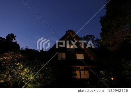 東山動植物園 植物園的秋葉 120942556