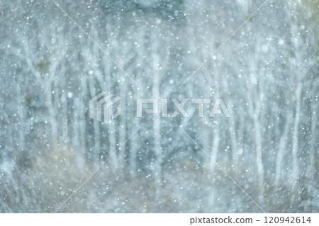 Image of heavy snow (around Onbara Plateau) 120942614