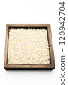 Sorghum Rice 120942704