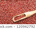 Adzuki Bean 120942792