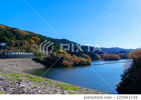 2024 Early winter at Nara Nunome Dam Clear skies and autumn foliage along the lake Gentle ridges and autumn foliage along the lake 2024 Early winter at Nara Nunome Dam Clear skies and autumn foliage along the lake Gentle ridges and autumn foliage along the lake 120943156
