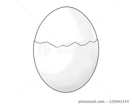 Boiled egg white shell 120943243