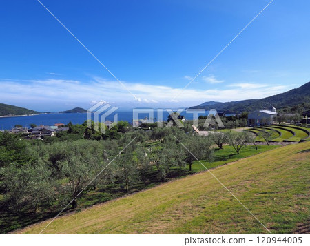 Roadside Station Shodoshima Olive Park 2024 [Shodoshima, Kagawa Prefecture] 120944005