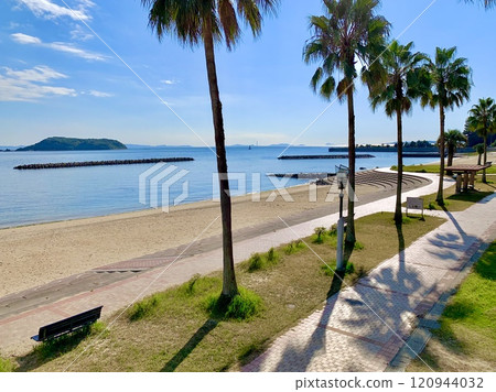 A palm-lined promenade overlooking the Atsumi Peninsula across Mikawa Bay (Kira Waikiki Beach (Miyazaki Beach)/Nishio City, Aichi Prefecture) 120944032
