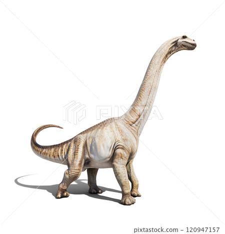 dinosaur, white background dinosaur, white background 120947157