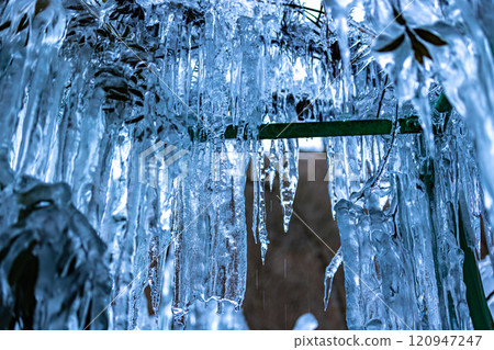 Icicles of Onouchi Hyakukei, Saitama Prefecture Icicles of Onouchi Hyakukei, Saitama Prefecture 120947247