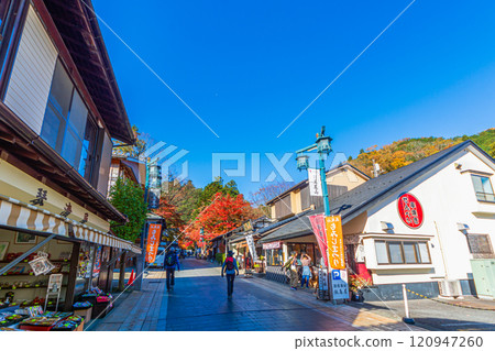 Mt. Takao Omotesando in the morning sun 120947260