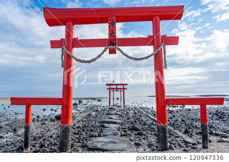 佐賀郡塔拉鎮，秋季水下鳥居站在有明海低潮淺水區 120947336