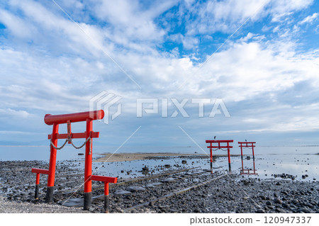 佐賀郡塔拉鎮，秋季水下鳥居站在有明海低潮淺水區 120947337