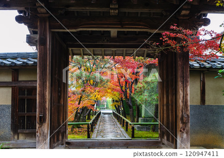 光越寺_4264 120947411