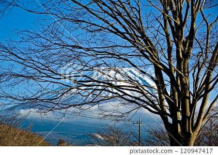 Mount Fuji as seen from an empty park 120947417