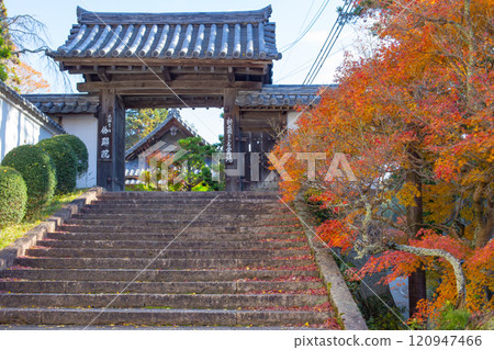 兵庫縣三木市紅葉美麗的第26寺 大谷山 大慶寺伽倻院大門 120947466
