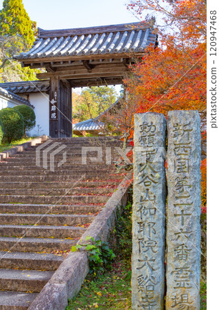 兵庫縣三木市紅葉美麗的第26寺 大谷山 大慶寺伽倻院大門 兵庫縣三木市紅葉美麗的第26寺 大谷山 大慶寺伽倻院大門 120947468