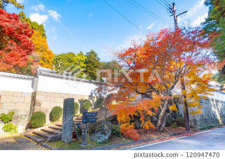 兵庫縣三木市紅葉美麗的第26寺 大谷山 大慶寺伽倻院大門 兵庫縣三木市紅葉美麗的第26寺 大谷山 大慶寺伽倻院大門 120947470