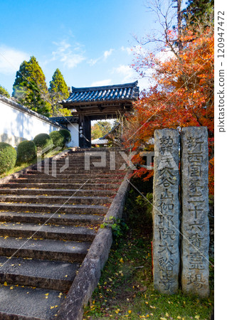 兵庫縣三木市紅葉美麗的第26寺 大谷山 大慶寺伽倻院大門 兵庫縣三木市紅葉美麗的第26寺 大谷山 大慶寺伽倻院大門 120947472