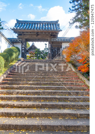 兵庫縣三木市紅葉美麗的第26寺 大谷山 大慶寺伽倻院大門 120947475