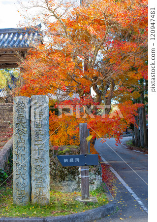 兵庫縣三木市紅葉美麗的第26寺 大谷山 大慶寺伽倻院大門 120947481