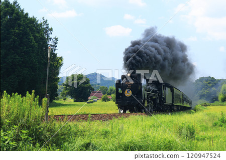 SL Yamaguchi D51 4653 SL Yamaguchi D51 4653 120947524