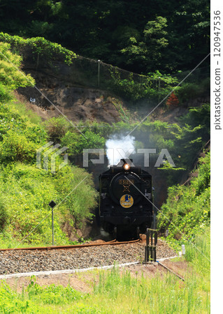 SL 山口 D51 4546 SL 山口 D51 4546 120947536