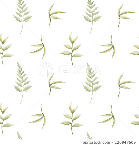 Watercolor fern leaves seamless pattern on white. Simple forest background with different foliage branches and green twigs for repeat designs and fabric printing. Minimalist woodland art 120947609