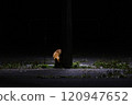 A fox came under the streetlight on a utility pole 120947652