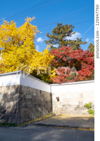 兵庫縣三木市 大谷山大慶寺 Gayain Daiginko 第 26 屆秋葉美景 120947760