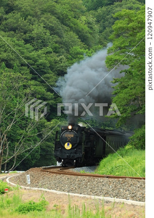 SL Yamaguchi D51 8601 120947907