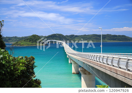 角島大橋 8769 120947926
