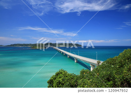 Tsunoshima Bridge 8830 120947932