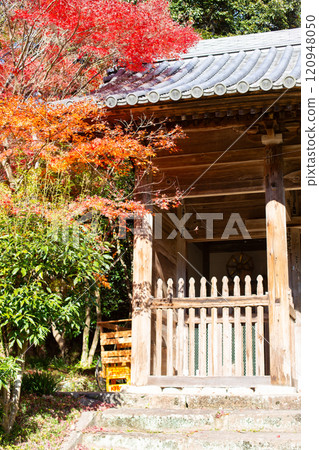 The beautiful autumn foliage of the 26th temple, Daikeiji Gaya-in, Mt. Otani, in Miki City, Hyogo Prefecture 120948050