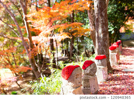 Jizo statue in the garden of Daikeiji Gaya-in Temple in Miki City, Hyogo Prefecture, where the autumn leaves are in full bloom. 120948365