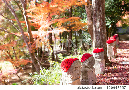 Jizo statue in the garden of Daikeiji Gaya-in Temple in Miki City, Hyogo Prefecture, where the autumn leaves are in full bloom. 120948367