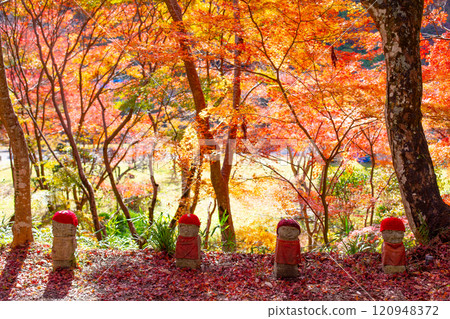 Jizo statue in the garden of Daikeiji Gaya-in Temple in Miki City, Hyogo Prefecture, where the autumn leaves are in full bloom. Jizo statue in the garden of Daikeiji Gaya-in Temple in Miki City, Hyogo Prefecture, where the autumn leaves are in full bloom. 120948372