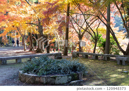 Jizo statue in the garden of Daikeiji Gaya-in Temple in Miki City, Hyogo Prefecture, where the autumn leaves are in full bloom. Jizo statue in the garden of Daikeiji Gaya-in Temple in Miki City, Hyogo Prefecture, where the autumn leaves are in full bloom. 120948373