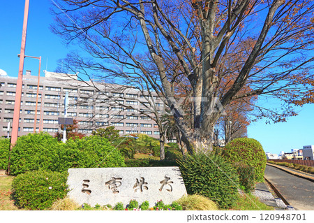 三重縣津市三重縣廳風景 120948701