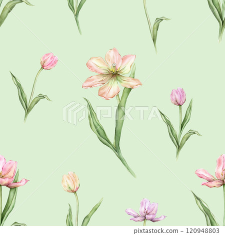 Seamless pattern of pastel pink light violet yellow bud Tulips watercolor illustration isolated on background. Hand drawn delicate spring perennial bulbous flower for spring wedding repeat design 120948803