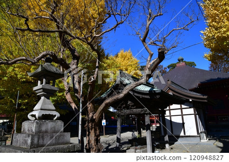 Izumi Kannon Izumi Kannon 120948827