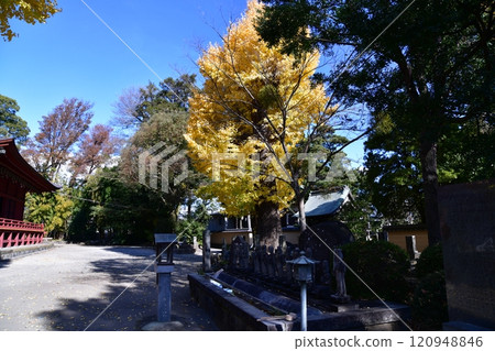 Izumi Kannon Izumi Kannon 120948846